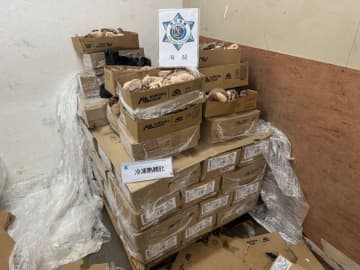マカオ税関が運び屋向け密輸品供給拠点1ヶ所摘発…冷凍豚もつ肉約450kg発見