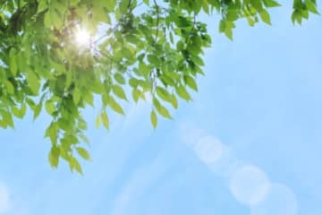 ロクハの森で、季節を感じる自然観察会！「樹木・草花ウォッチング」開催★【5月25日/ロクハ公園】