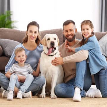犬は『家族に順位付け』をしていなかった？愛犬が人によって態度を変える理由とは