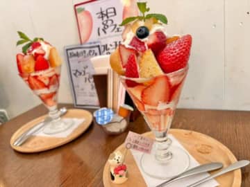 【北区・土呂】パフェ好きは絶対に一度は行ってみてほしい！予約制のパフェ専門店「てんとう虫。」