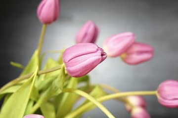「胸の違和感、我慢しないで」薬剤師が教える、更年期に効く“やさしいケア”の選び方