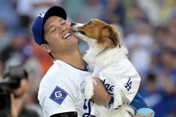MLBがデコピンを“破格の扱い”　まさかの登場に日米騒然…「選手より前」の存在感