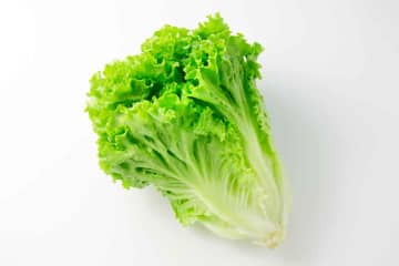 「くたシャキ食感が最高なのよ」　目からウロコのレタスの食べ方　JA全農のおすすめに「ガチでうまい」「ハマると本当ヤバイ」