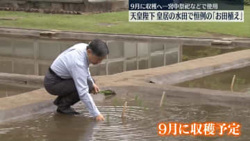 天皇陛下、皇居の水田で恒例の「お田植え」　9月に収穫へ…宮中祭祀などで使用