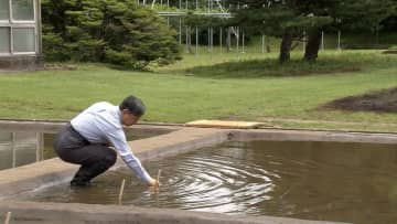 天皇陛下恒例のお田植え　皇居の稲作　自ら種もみをまいた苗を丁寧に植えられる