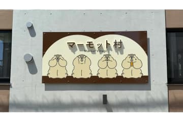 ほのぼの空間に癒やされる！日本初のマーモットカフェ「マーモット村」が中野にオープン