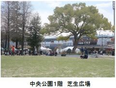 6月1日（日） 阪神尼崎駅前 中央公園・芝生広場オープンを記念し、あまピク・アーバンテラス by amagasaki picnic 開催！～公園×ピクニック で非日常な空間を～