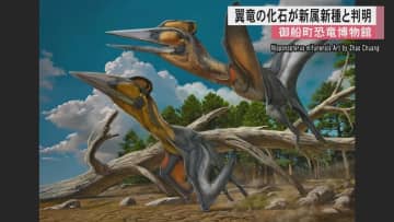 「世界で見つかっていない新しい翼竜」熊本・御船町で発見の化石が新属新種の大型翼竜と判明　『ニッポノプテルス・ミフネンシス』と命名