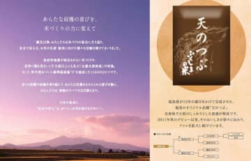Amazonが食味ランキング「A」の福島県産白米「天のつぶ 5kg」を販売　税込4,867円!