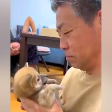 『３番目の孫』として子犬をお迎えしたおじいちゃん→１年後…愛情たっぷりな『心温まる光景』が76万再生「どちらもデレデレｗ」と絶賛の声