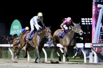 【エンプレス杯】テンカジョウが抜け出す…オーサムリザルトまさかの敗戦