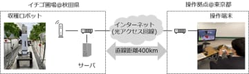 NTTなど3社、エッジコンピューティング品質制御による遠隔収穫ロボット操作に成功