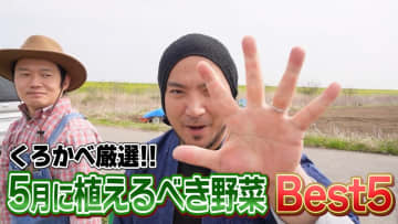 家庭菜園初心者にぴったり！5月に植えるべき野菜BEST5｜プランターでも育てやすい夏野菜を厳選