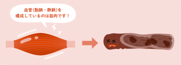 血液のポンプは心臓。ではリンパのポンプは？ 筋肉が果たす驚きの役割【眠れなくなるほど面白い 図解 デトックスの話】
