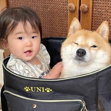 動物病院に犬を連れていくためにリュックを用意したら、赤ちゃんが…あまりにも尊い『ぎゅうぎゅうな光景』が29万再生「ぴったりで可愛いw」