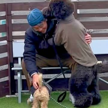 16日ぶりにお父さんが出張から帰宅→2匹の犬にサプライズをした結果…疲れも吹き飛ぶ『微笑ましい光景』が7万再生「最高」「泣ける」の声