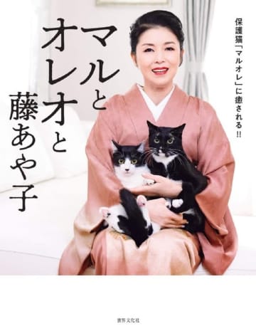 藤あや子、愛猫の「科捜研に出動要請願いたい」驚きの寝姿を公開→「事件現場ですにゃ」「ダイニングメッセージ」