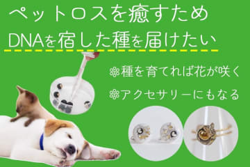 ペットのDNA×植物のタネでペットロスに寄り添う新サービス『Yuishu(ゆいしゅ)』が5月15日にクラウドファンディングを開始　愛する存在のおもかげを植物として育み、喪失の痛みを癒すグリーフケア