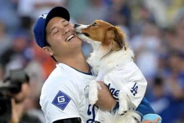 大谷翔平の愛犬デコピン祝福ショットに韓国も胸キュン！「格別な愛情」「心揺さぶられる…」