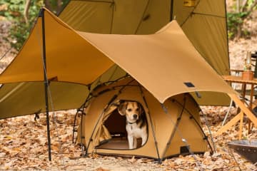 愛犬と一緒にアウトドアを満喫！Wan＆Co.から新しく3種のキャンプギアが登場