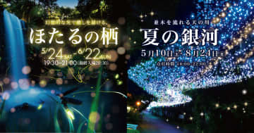 御殿場高原で「ほたる鑑賞イベント」開催中、イルミネーションによる“天の川”の演出も