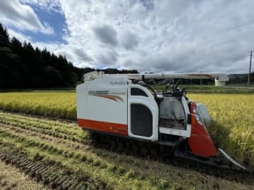 高橋洋一の霞ヶ関ウォッチ　まだまだ下がらぬコメの値段、カギはJA抜きの「備蓄米直接販売」だ