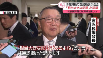 自民税調「消費減税には相当大きな問題がある」
