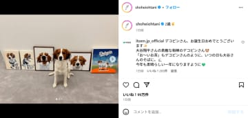 「デコピン」2歳誕生日ショットがかわいすぎる！「おめでとう」ネット大祝福