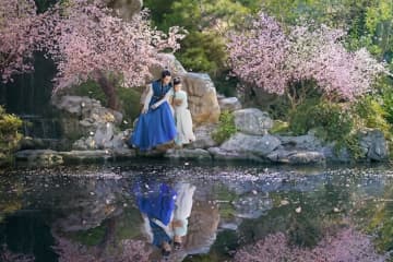 『紅楼夢 ～運命に引き裂かれた愛～』本編映像公開　チャン・ミャオイーが花びらの中で舞う