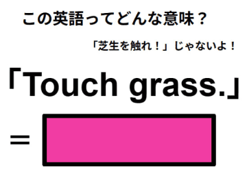 この英語ってどんな意味？「Touch grass. 」