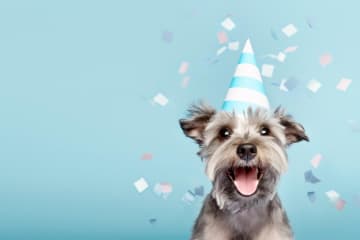 菊池寛の『TZSCHALLAPPOKO』あらすじ紹介。大正時代の文化と人間模様──知性とユーモアのエッセイ