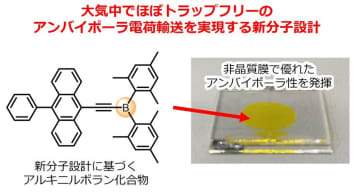 大気暴露後も優れたアンバイポーラ性を示す有機半導体を開発