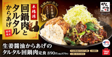 揚げ物、炒め物、主役級の料理を一度に楽しめる! からあげ定食専門店「からやま」が「生姜醤油からあげのタルタル回鍋肉定食」を本日16日(金)発売