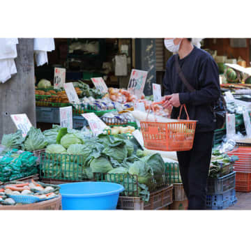 5月に入り葉物野菜が激安のワケ…1年前は1玉1000円だったキャベツが200円台前半で店頭に