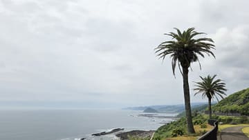 九州南部が梅雨入り　全国トップは史上初　平年より2週間早い発表　今年もいよいよ雨のシーズン到来