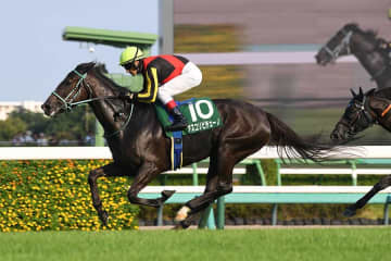 波乱必至のヴィクトリアマイル　人気馬の枠順に明暗「これはエグイて」「勝ちやん」ファン悲喜こもごも