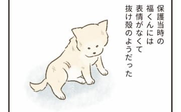 飼い主に放置され、表情を失った老犬　愛護センター職員が差し出した“温かい手”【たまさんちのホゴイヌ④】