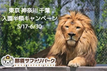 【那須サファリパーク 】 南関東入園料半額キャンペーン開催【東京都・神奈川県民 ・千葉県民 】