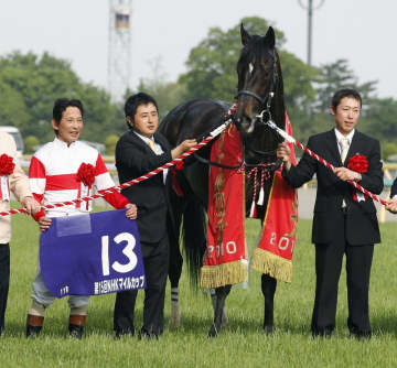 競馬、ダノンシャンティが死ぬ　2010年NHKマイル杯優勝