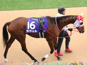 荒れるGⅠ「ヴィクトリアマイル」で悲しくも【死の馬番】に入ってしまった人気馬とは！？