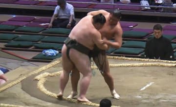 「ローラに似てる」褐色のイケメン力士に熱視線「未経験でこれはやばい」