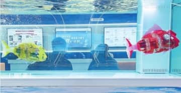 長江の生態保護に応用される生物模倣魚ロボット―中国