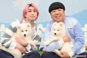 佐久間大介が「ぬいぐるみみたい！」とトリコに!?　浮所飛貴がサモエドの魅力をプレゼン！