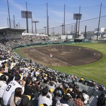 タイトル取っても年俸が上がらない二軍の現実　僕が一軍に推薦したい選手の特徴は…【阪神伝説の打点王・今岡真訪 感性のチカラ】#42
