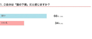 「猫の下僕」を自称する人も多い？　猫と飼い主の関係を獣医師が解説