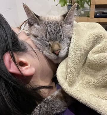 猫が飼い主さんの顔を枕にする理由とは？ 獣医師が解説