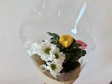 【葛飾金町】駅近で便利！可愛い街のお花屋さん「井出生花店」