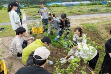 コメ不足だけではないアインシュタインも警鐘を鳴らす食糧危機問題。日本で植樹アクションPROJECTが始動