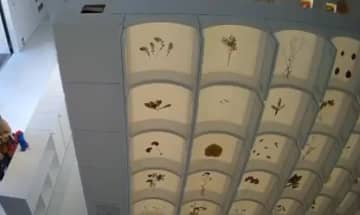 万博バルト館でミャクミャク盗難→まさかの展開に大使も感謝「日本の皆様、ありがとうございました」