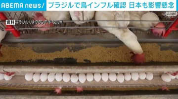 世界最大の鶏肉輸出国・ブラジルで鳥インフル確認 日本も影響懸念